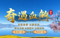1375紫极·奇遇血煞-自动拾取回收-四个大陆-XH